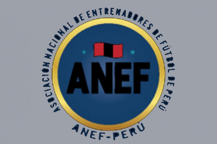 ANEF: "Hay un apoyo que se está dando poco a poco por parte de la FPF"