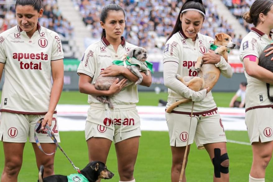 Liga Femenina: perritos rescatados protagonizaron el clásico entre Alianza Lima y Universitario