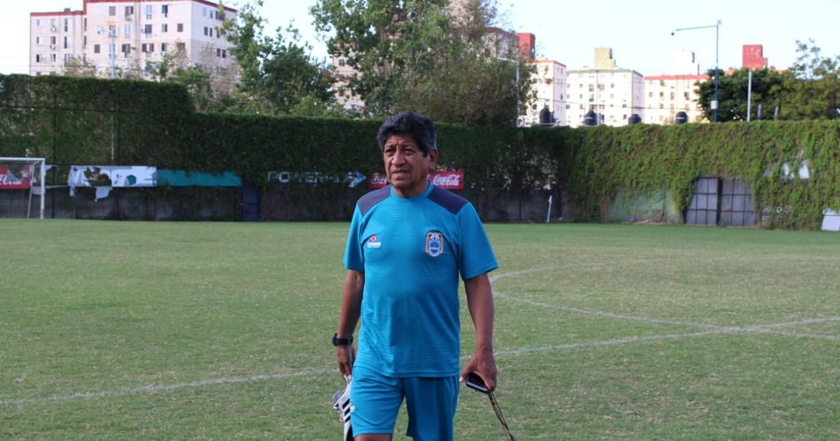 Arce