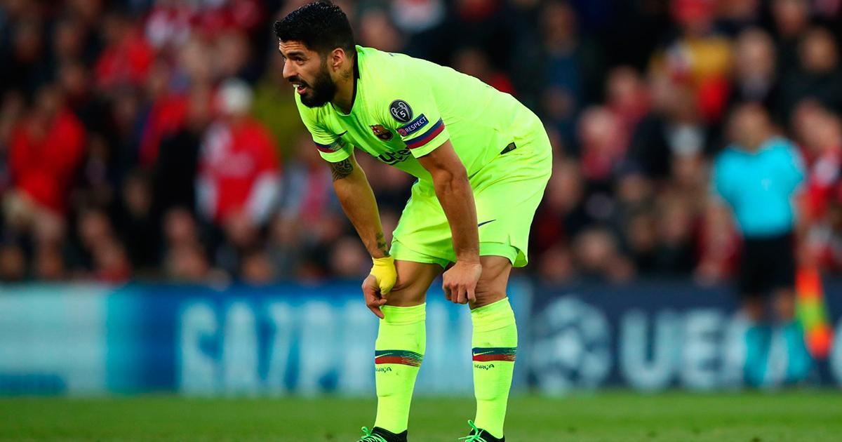 suarez 