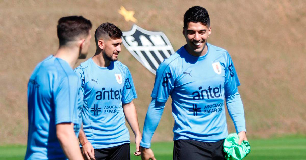 suarez 