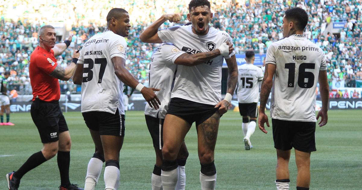 (VIDEO) Botafogo dio el golpe ante Palmeiras y continúa líder del Brasileirao