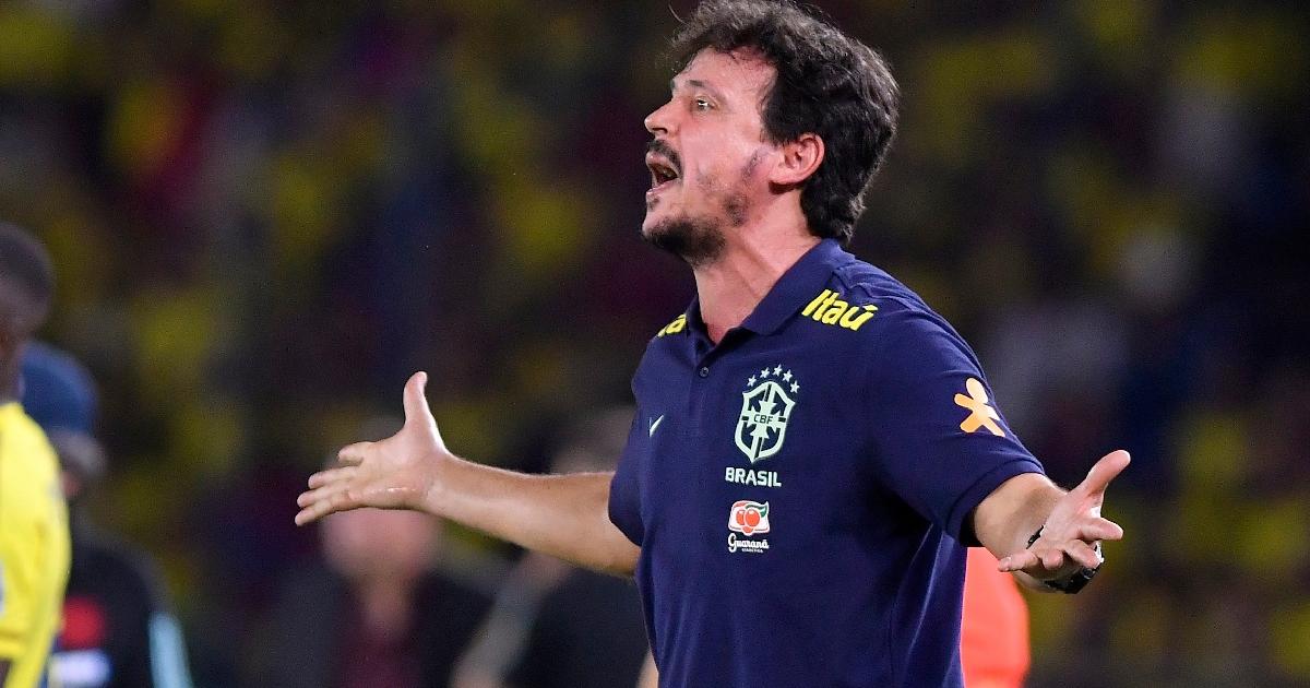Fernando Diniz no va más como técnico de la selección brasileña