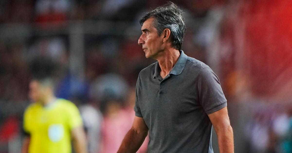 Ibáñez: “Tuvieron situaciones para revisarlas en el VAR y que todo el mundo se quede tranquilo”