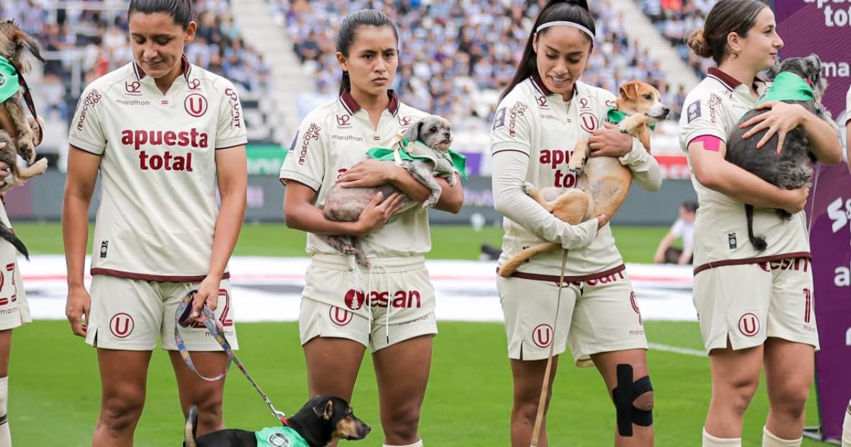 Liga Femenina: perritos rescatados protagonizaron el clásico entre Alianza Lima y Universitario 