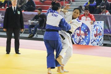 judo