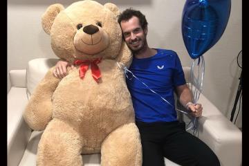 teddy