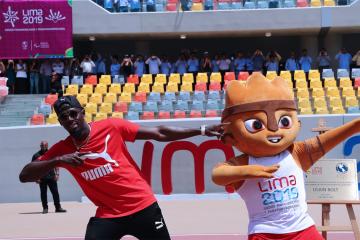 Bolt