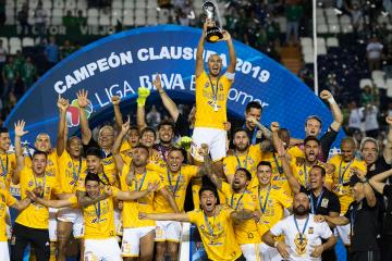 tigres