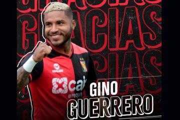gino