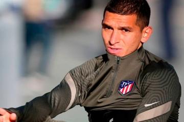 Torreira