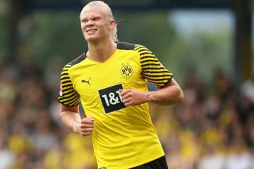 haaland