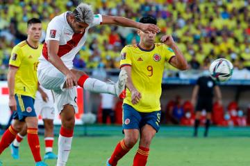 Falcao