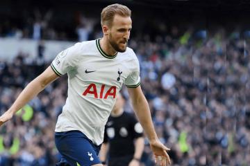Tottenham venció al Brighton y recupera el paso en Premier League