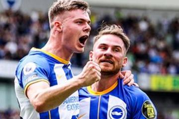 ¡Histórico! Brighton aseguró boleto a la Europa League