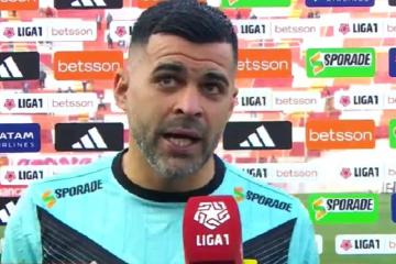 Limousin: "Cada vez se va achicando más el margen de error"