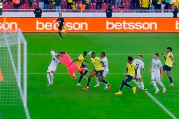 (VIDEO) Castrilli consideró que hubo claro penal para Uruguay en el final del juego ante Ecuador