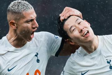 Tottenham cerró el año con victoria en casa