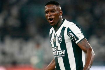 Botafogo se hizo fuerte en casa y sigue acechando la cima del Brasileirao