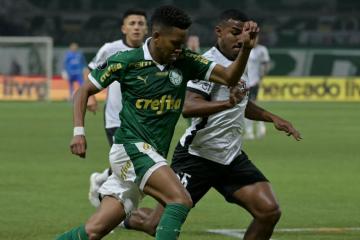 Botafogo eliminó a Palmeiras en la Libertadores