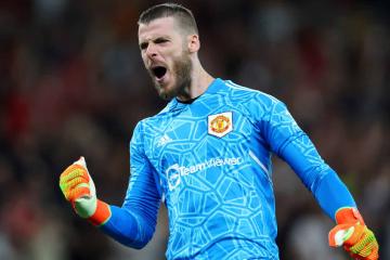 De vuelta al ruedo: David de Gea será nuevo jugador de Fiorentina