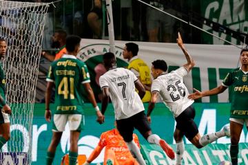 Botafogo venció a Palmeiras y tomó la punta del Brasileirao