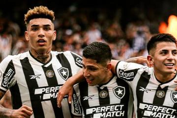 Botafogo se proclamó campeón del Brasileirao luego de 29 años