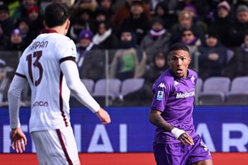 Fiorentina no pasó del empate frente a Torino