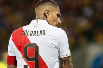 Ibáñez: "Cuento con Paolo Guerrero porque representa mucho para el grupo"