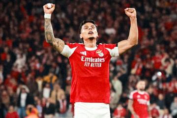 Benfica se impuso en casa ante Napoli