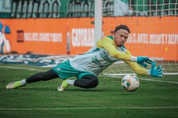 Dudamel: "Tener a Gallese es un lujo"