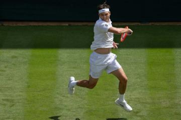 Fritz y Berrettini avanzan en Wimbledon