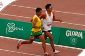 Sandovak