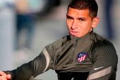 Torreira