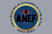 ANEF: "Hay un apoyo que se está dando poco a poco por parte de la FPF"
