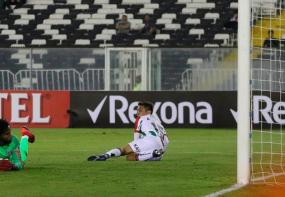 Palestino - Alianza