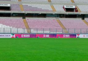 Foto: Prensa FPF
