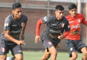Selección Peruana.