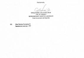 Carta de Gisella Callacna (parte 2)