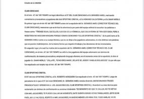 Informe arbitral
