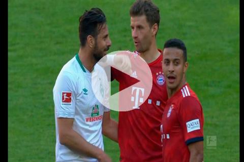 pizarro