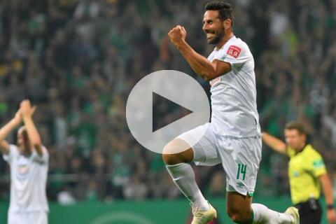 Pizarro
