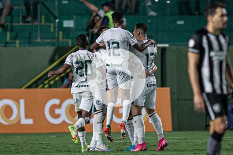 (VIDEO) Goiás le quitó el invicto al puntero Botafogo y sale del fondo del Brasileirao