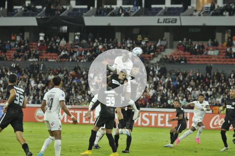 (VIDEO) LDU y Botafogo empataron y pase a octavos lo definirán en la última fecha