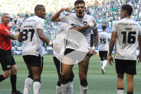 (VIDEO) Botafogo dio el golpe ante Palmeiras y continúa líder del Brasileirao