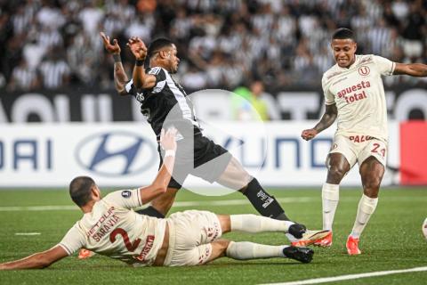 (VIDEO | FOTOS) Caída en Brasil: Universitario perdió por 3-1 ante Botafogo por la Libertadores