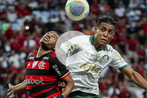 (VIDEO) Flamengo empató ante Palmeiras y no pudo escalar a la cima