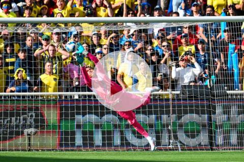 Gallese: "Nos faltó atrevimiento, creo que no tuvimos opciones claras de gol"