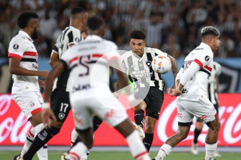 (VIDEO) Botafogo ganó y se afianzó en la cima del Brasileirao