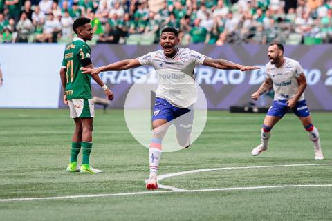 (VIDEO) Palmeiras no pudo escalar a la cima del Brasileirao